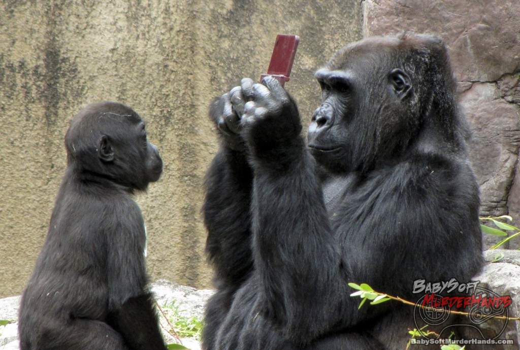 Gorilla plays with Nintendo DS accidentally dropped into its enclosure, San Franciso Zoo, America - 06 Aug 2010